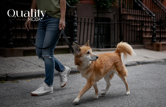 Mujer joven paseando un perro con correa por la calle