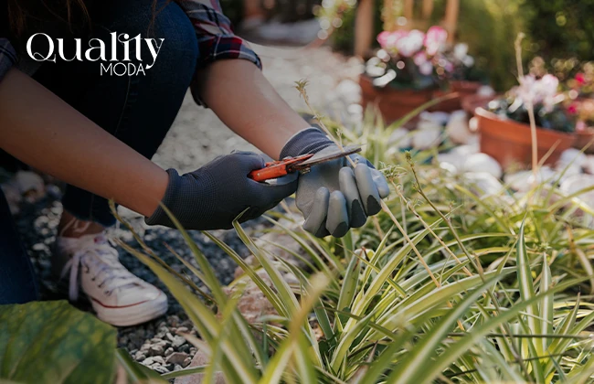 Jardinero podando una planta, un servicio que se vende muy bien hoy en día