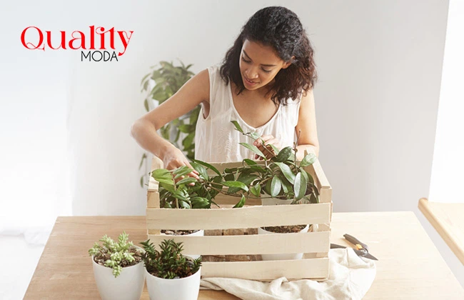 Mujer joven cultivando plantas ornamentales en macetas