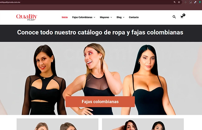 Idea de una página web